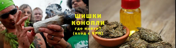 твердый Магас