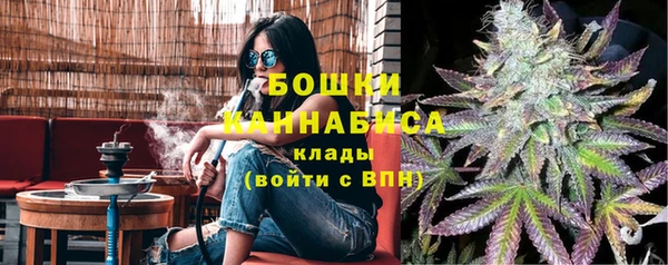 твердый Магас
