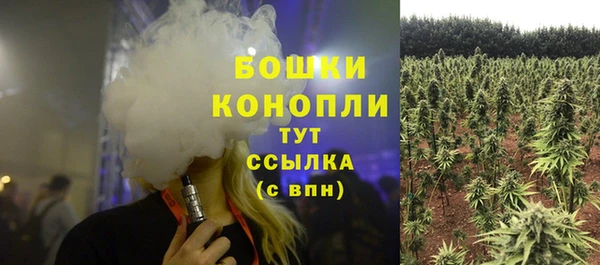 твердый Магас