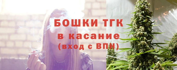 твердый Магас