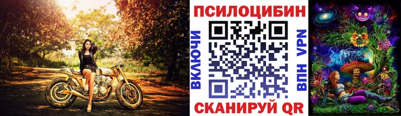 магазин    Крым  Галлюциногенные грибы Cubensis 